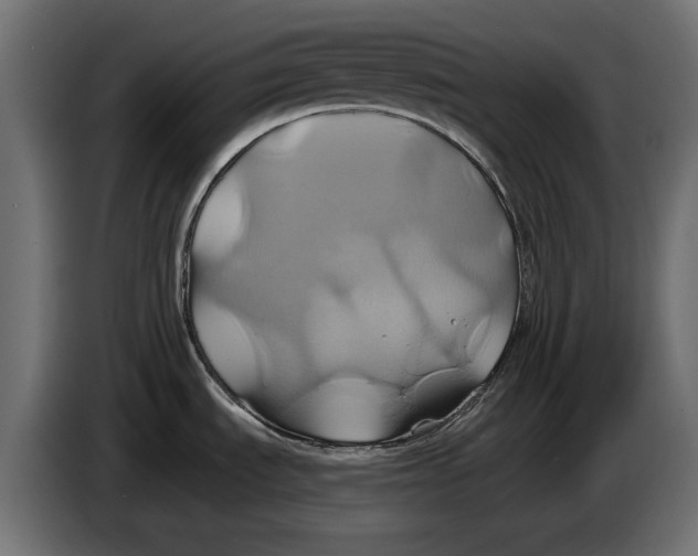 X0000086021535200704131839