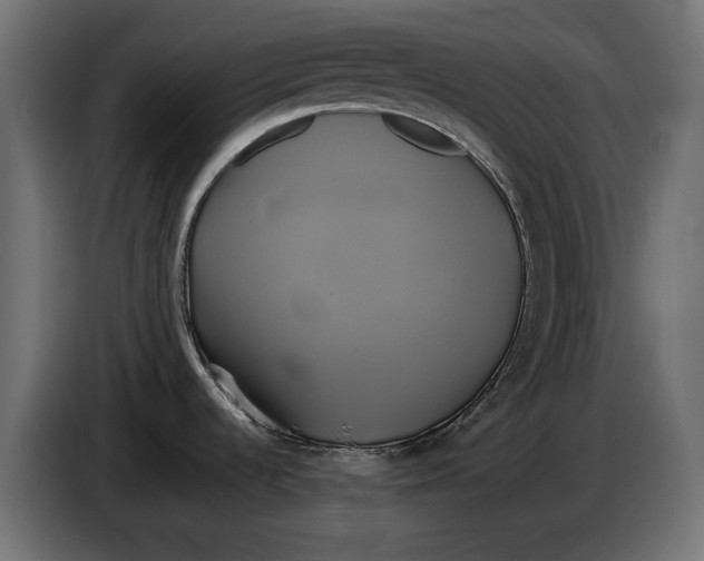 X0000086021536200704131839
