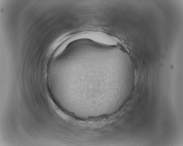 X0000086020005200704201933