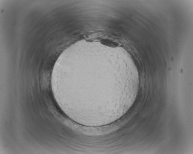 X0000086020030200704201932