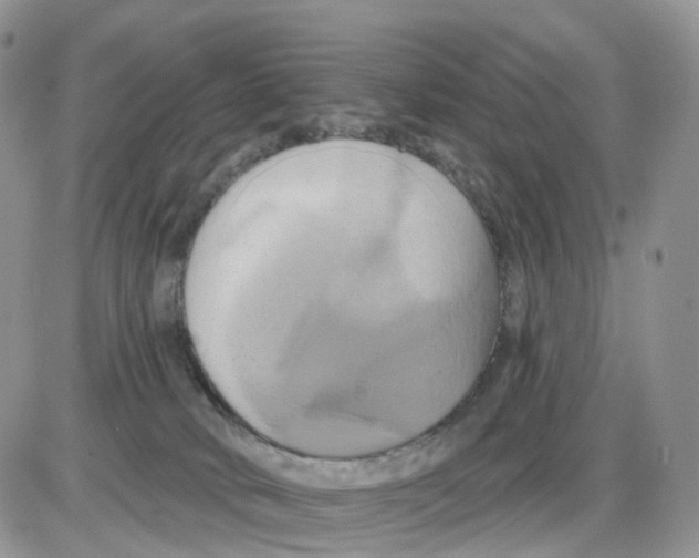 X0000086020034200704201932