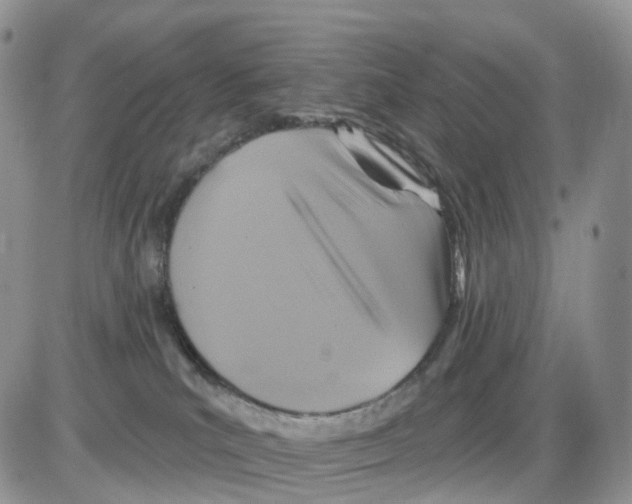 X0000086020039200704201932