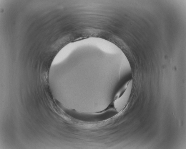 X0000086020045200704201932