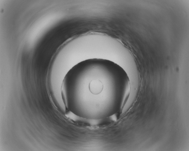 X0000086020052200704201931