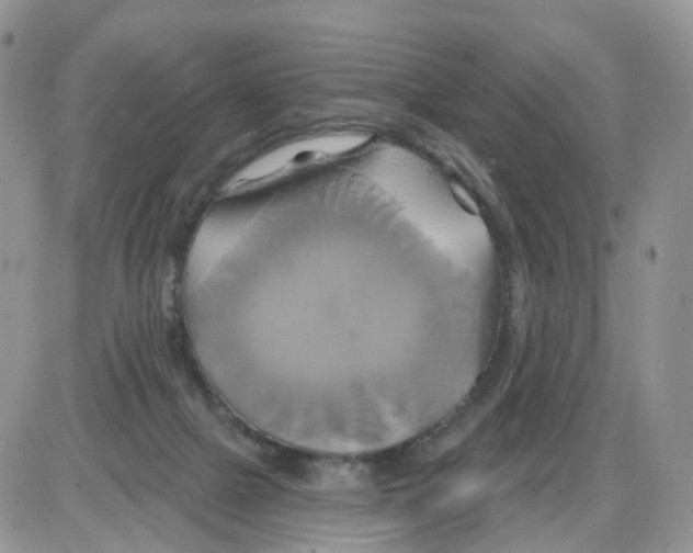 X0000086020073200704201932
