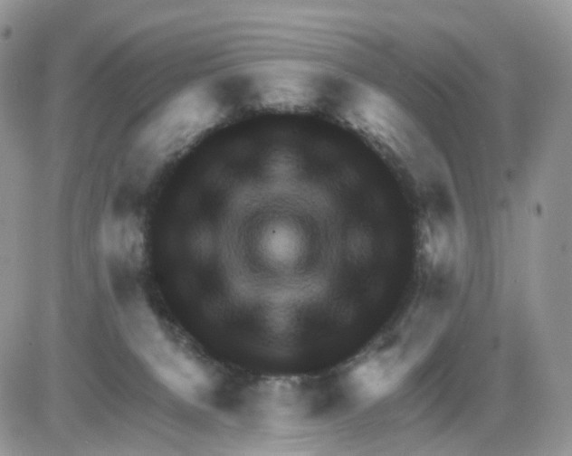 X0000086020080200704201932