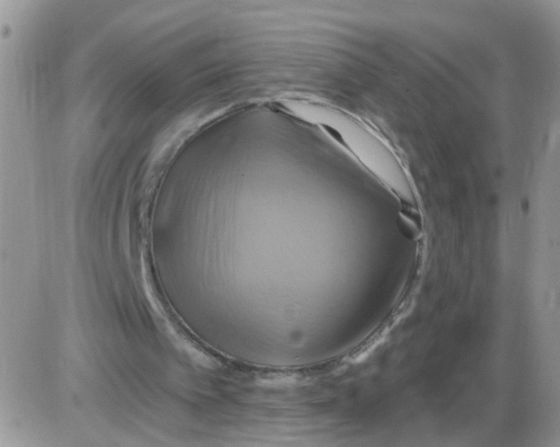 X0000086020097200704201931