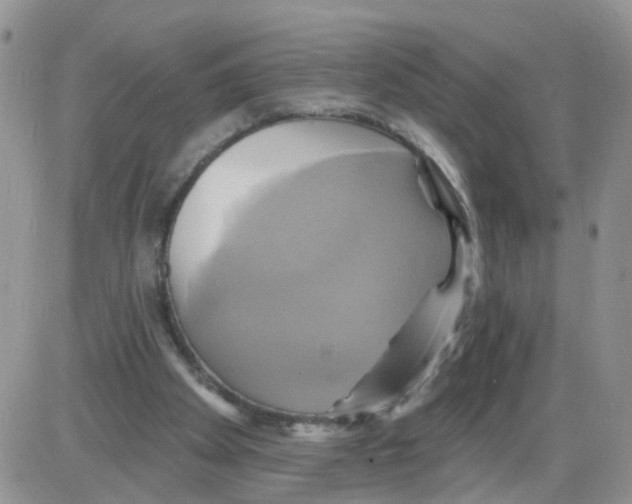 X0000086020105200704201931
