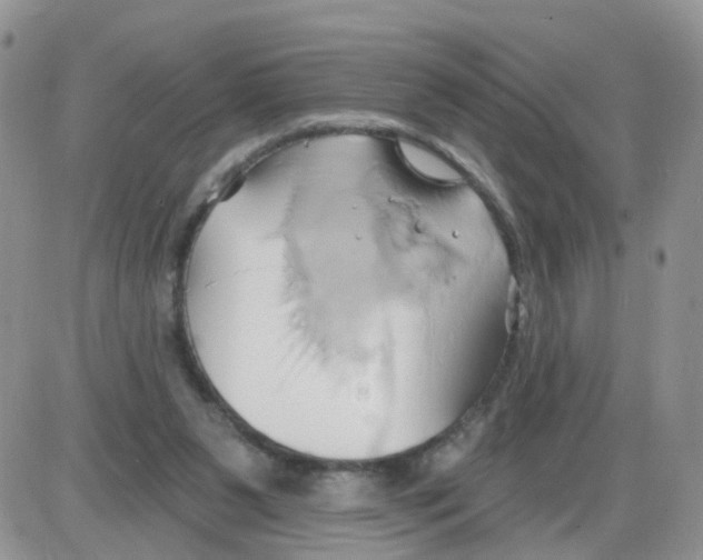 X0000086020111200704201931