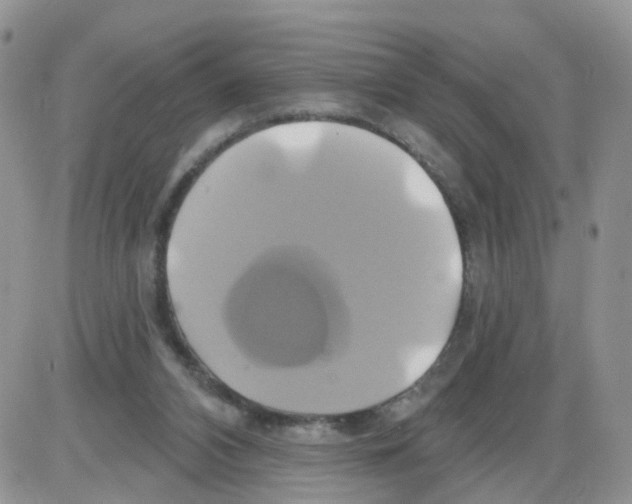X0000086020112200704201931