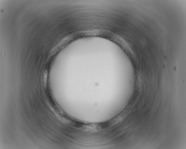 X0000086020118200704201931