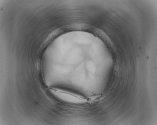 X0000086020119200704201931