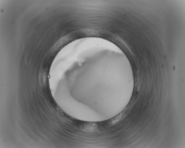 X0000086020124200704201931
