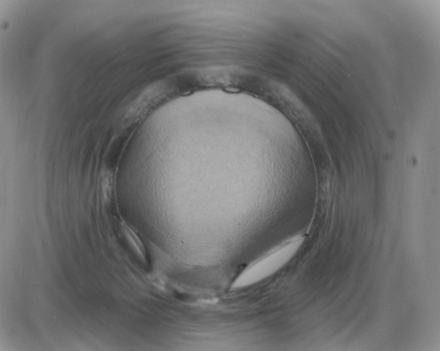 X0000086020125200704201931