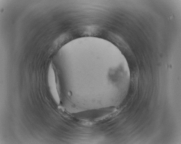 X0000086020127200704201931