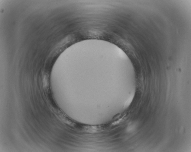 X0000086020131200704201931