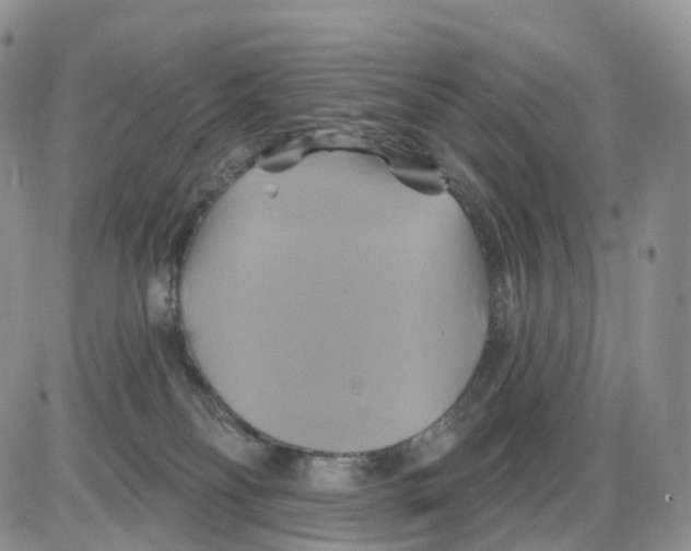 X0000086020134200704201931