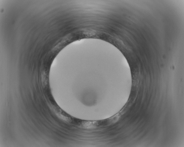 X0000086020136200704201931