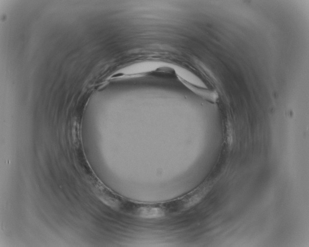 X0000086020169200704201930