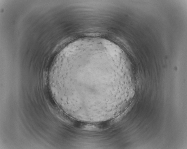 X0000086020171200704201930