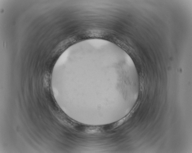 X0000086020175200704201930