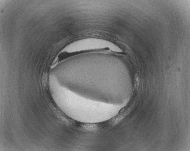 X0000086020189200704201930