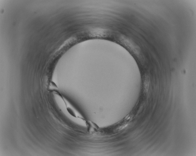 X0000086020211200704201929