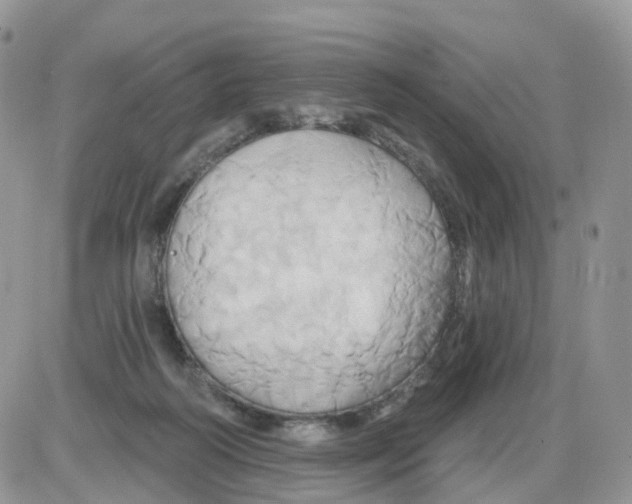 X0000086020218200704201929