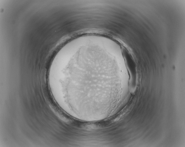X0000086020253200704201928
