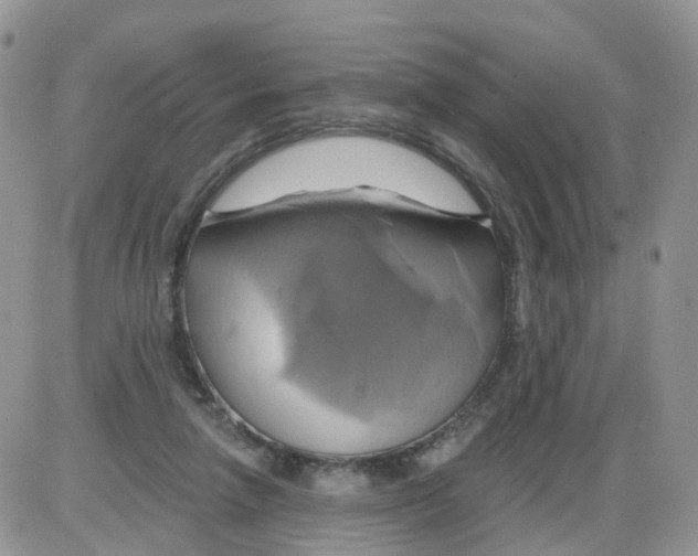 X0000086020258200704201928