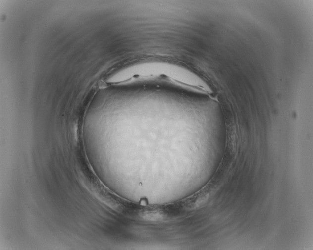 X0000086020262200704201928