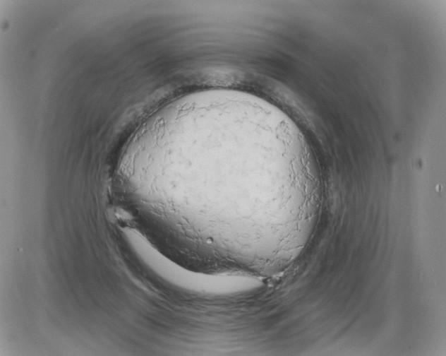 X0000086020307200704201928