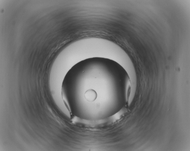 X0000086020360200704201927