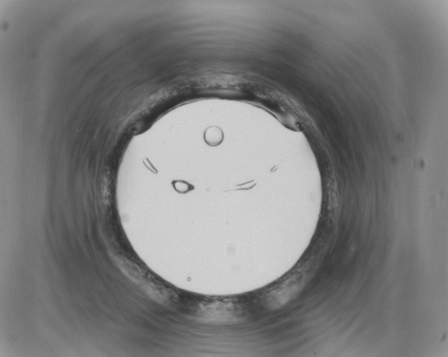 X0000086020362200704201927