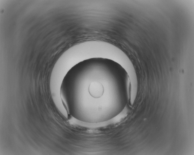 X0000086020376200704201927