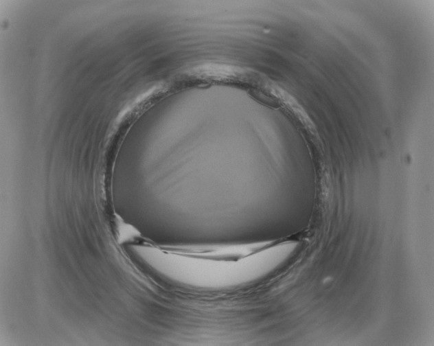 X0000086020399200704201926