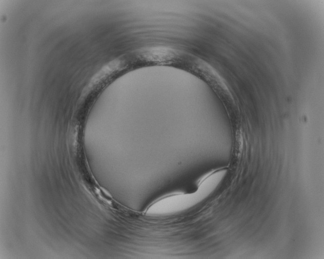 X0000086020404200704201926