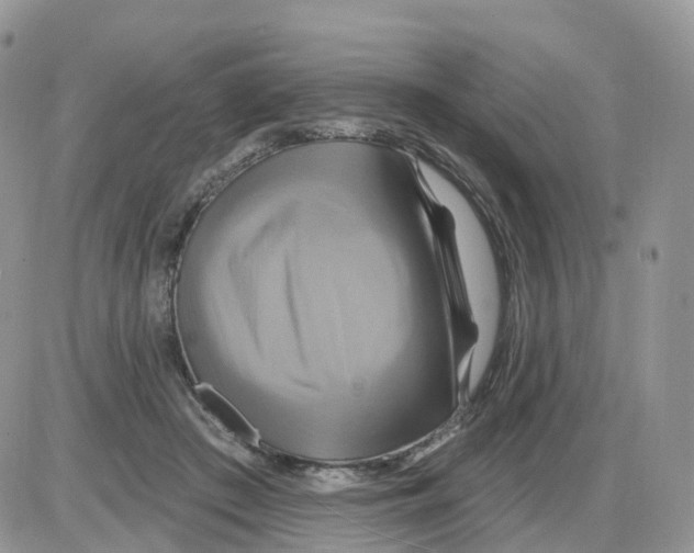 X0000086020409200704201926