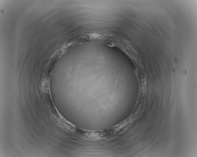 X0000086020419200704201926