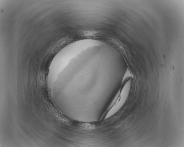 X0000086020421200704201926