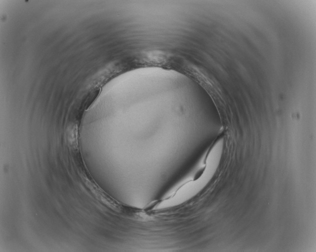 X0000086020425200704201926