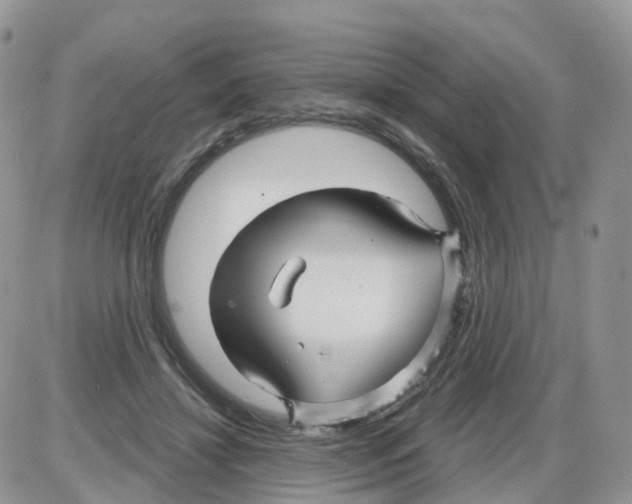 X0000086020452200704201925