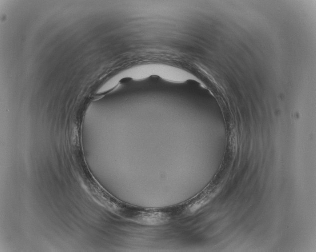 X0000086020459200704201925