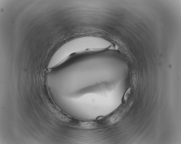 X0000086020461200704201925