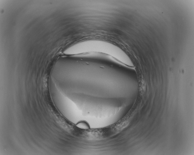 X0000086020466200704201926