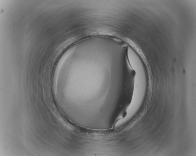 X0000086020481200704201925