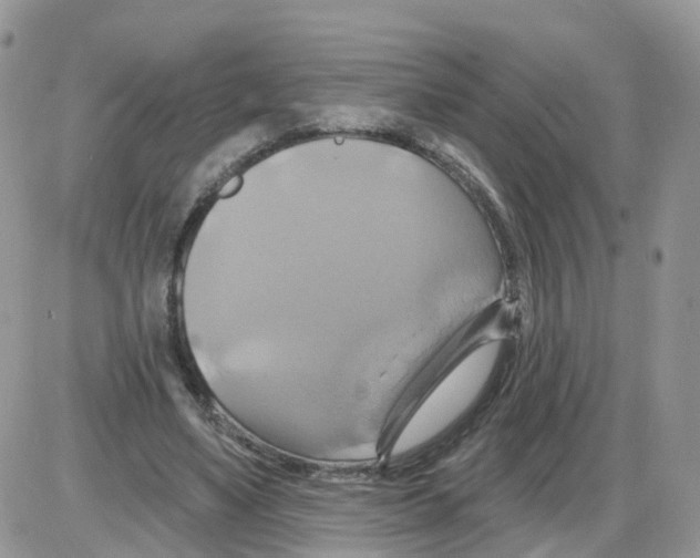 X0000086020491200704201925