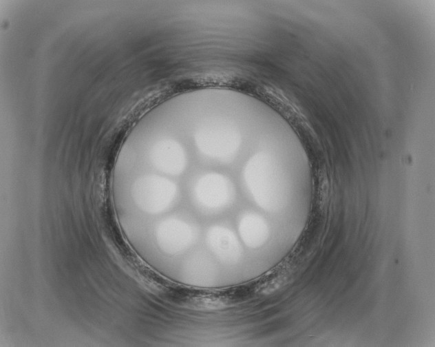 X0000086020498200704201925