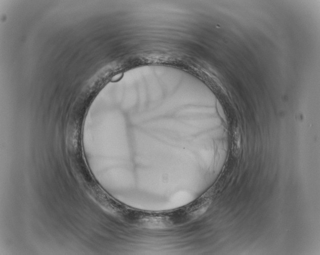 X0000086020499200704201925