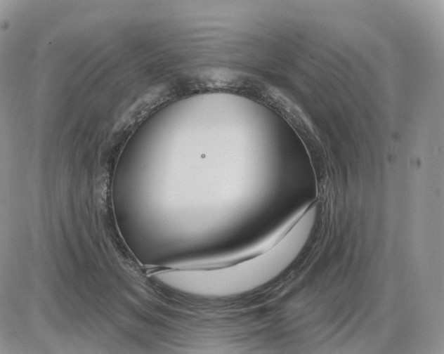X0000086020509200704201925